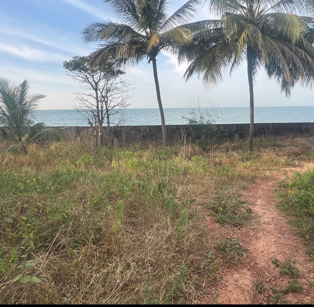 Seafront plots of land measuring 20 x 20 metrs for sale at Tanji Seaview 