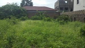 Prime Fenced Plot for Sale in Brufut Heights